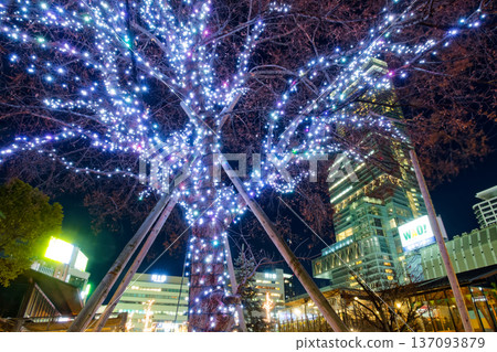 Night view of Apen no Harukas seen from Tennoji Park 137093879