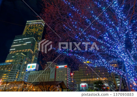 從Tennoji公園看見的Apen沒有Harukas夜視圖 137093883