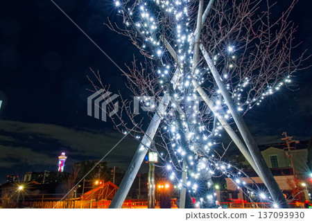 Illuminations of Tennoji Park in winter and night view of Tsutenkaku 137093930