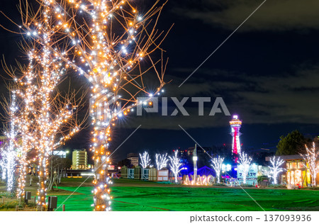 天王寺公園的冬日燈飾與通天閣的夜景 天王寺公園的冬日燈飾與通天閣的夜景 137093936
