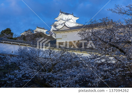 Illuminated Himeji Castle in Himeji City, Hyogo Prefecture Illuminated Himeji Castle in Himeji City, Hyogo Prefecture 137094262