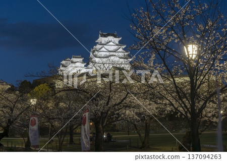 Illuminated Himeji Castle in Himeji City, Hyogo Prefecture 137094263