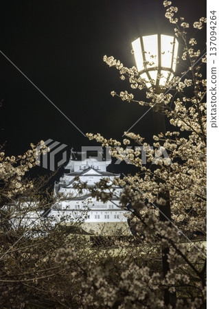 Illuminated Himeji Castle in Himeji City, Hyogo Prefecture Illuminated Himeji Castle in Himeji City, Hyogo Prefecture 137094264
