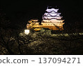 兵庫縣姬路市的姬路城燈光璀璨 137094271