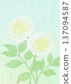 Background material Dahlia white 137094587