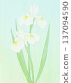 Background material: Iris white 137094590