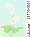 Background material color white 137094594