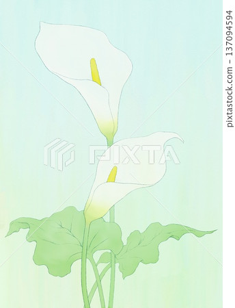 Background material color white Background material color white 137094594