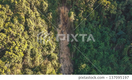 Sunlit Landslide Scar Cuts Through Dense Mountain Forest Feb 14 2026 Sunlit Landslide Scar Cuts Through Dense Mountain Forest Feb 14 2026 137095197