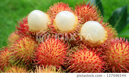A pile of rambutan fruit with white flesh, a organic tropical fruit A pile of rambutan fruit with white flesh, a organic tropical fruit 137096544
