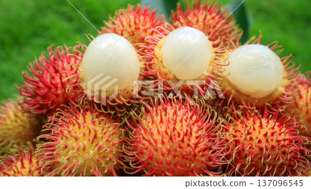 A pile of rambutan fruit with white flesh, a tropical fruit from Indonesia A pile of rambutan fruit with white flesh, a tropical fruit from Indonesia 137096545