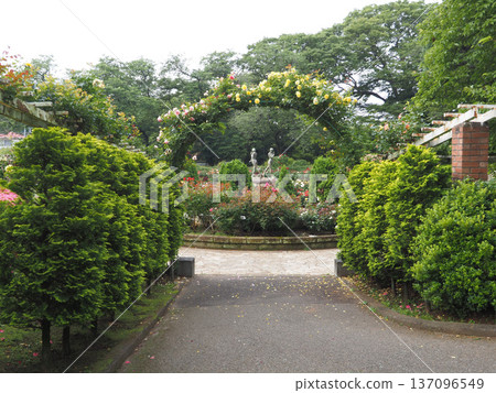 千葉縣佐藤公園 137096549