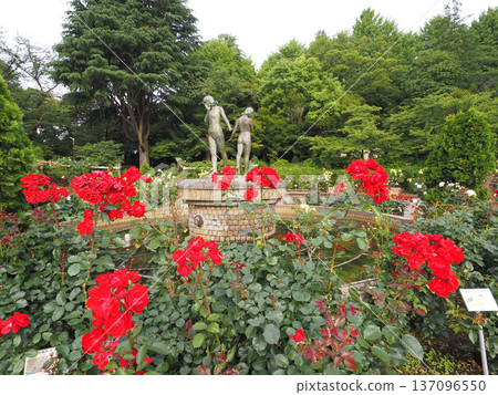 千葉縣佐藤公園 137096550
