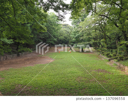 千葉縣佐藤公園 137096558