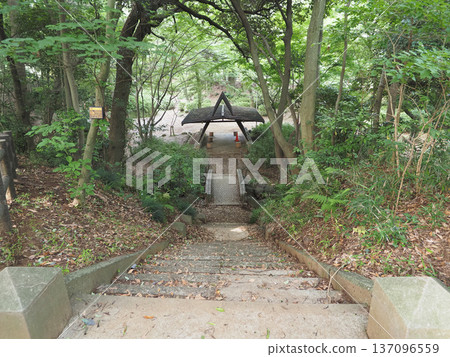 千葉縣佐藤公園 千葉縣佐藤公園 137096559