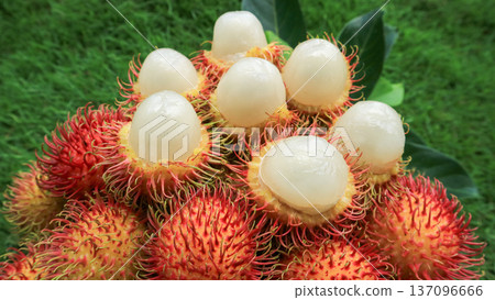 A pile of rambutan fruit with white flesh, a organic tropical fruit Indonesia food A pile of rambutan fruit with white flesh, a organic tropical fruit Indonesia food 137096666