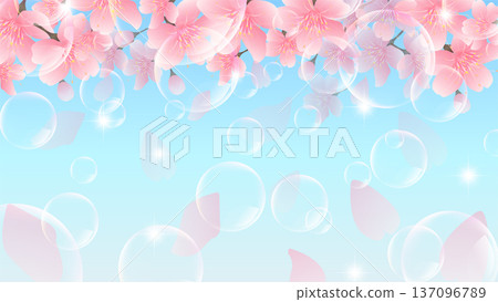 Cherry blossom spring landscape background 137096789