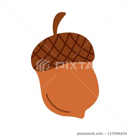 brown acorn brown acorn 137096834