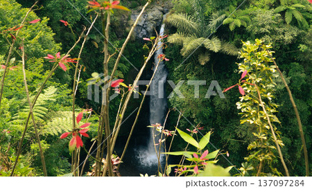 High angle view of tropical waterfall,Ideal for eco tourism, adventure travel, sustainable nature, and tropical destination concepts. 137097284