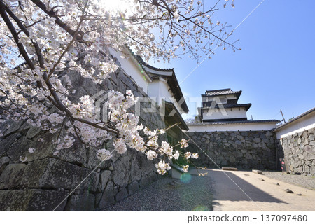 Spring at Fukuoka Castle Ruins, Shimonohashi Gate, Shiomi Tower, Maizuru Park, Fukuoka City Spring at Fukuoka Castle Ruins, Shimonohashi Gate, Shiomi Tower, Maizuru Park, Fukuoka City 137097480