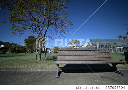 Scenery of the Qingdao Botanical Garden 137097504