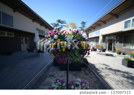 Scenery of the Qingdao Botanical Garden 137097515