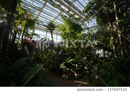 Scenery of the Qingdao Botanical Garden 137097528
