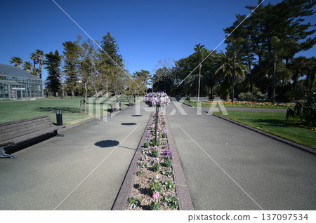 Scenery of the Qingdao Botanical Garden 137097534