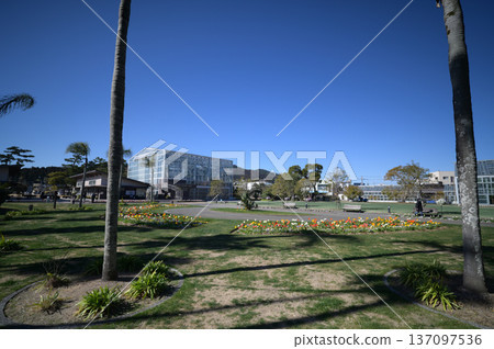 Scenery of the Qingdao Botanical Garden Scenery of the Qingdao Botanical Garden 137097536