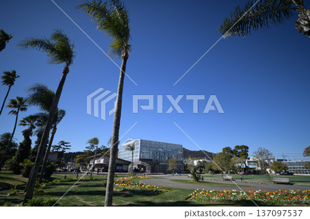 Scenery of the Qingdao Botanical Garden Scenery of the Qingdao Botanical Garden 137097537