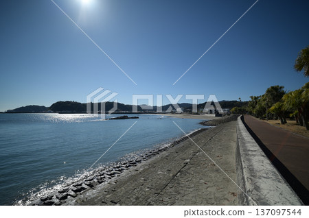 Scenery of the Qingdao Botanical Garden 137097544