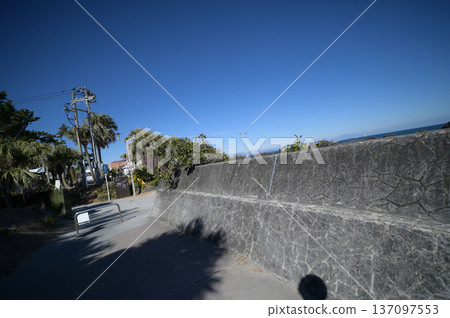 Scenery of the Qingdao Botanical Garden 137097553