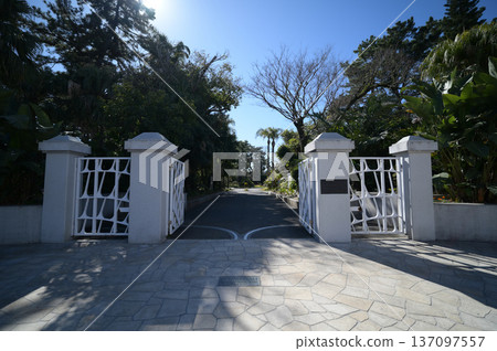 Scenery of the Qingdao Botanical Garden 137097557