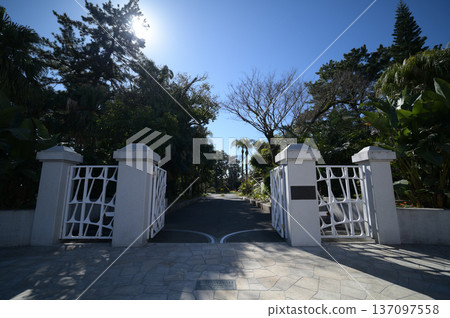 青島植物園景色 137097558