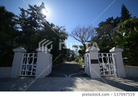 Scenery of the Qingdao Botanical Garden 137097559