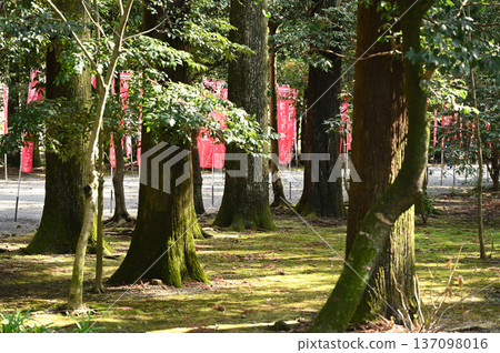 Tsuno Shrine grounds 137098016