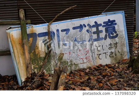 Bear warning sign 137098320