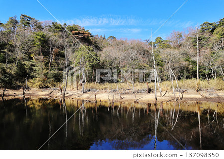 橫池（名池） 137098350