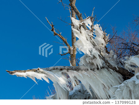 Icicles on the rocks Icicles on the rocks 137099128