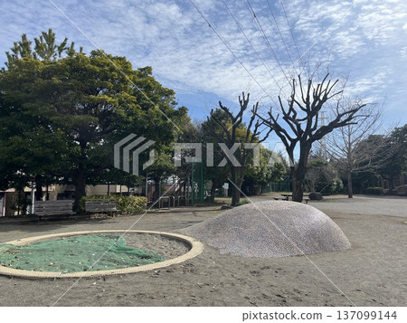 公園裡的大樹和藍天 公園裡的大樹和藍天 137099144