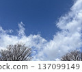 冬天藍天和白色雲彩 137099149