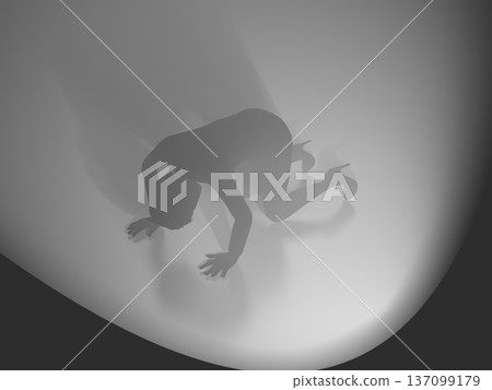 Silhouette of a woman on all fours wailing on the ground, dark shadow, 3D illustration Silhouette of a woman on all fours wailing on the ground, dark shadow, 3D illustration 137099179