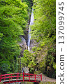 [神奈川縣]淺水瀑布 137099745