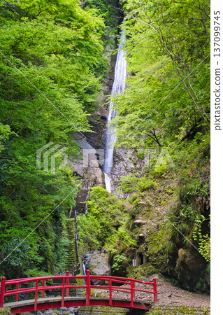 [神奈川縣]淺水瀑布 137099745