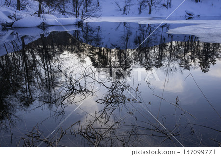 Blue pond in winter 137099771