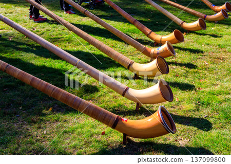 Alphorns laying on the grass on the alpine meadow Alphorns laying on the grass on the alpine meadow 137099800