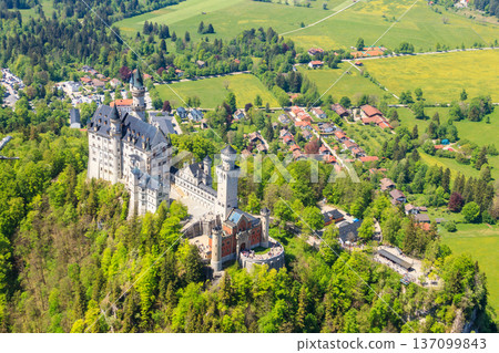 Neuschwanstein Castle in the Bavarian Alps, Germany Neuschwanstein Castle in the Bavarian Alps, Germany 137099843