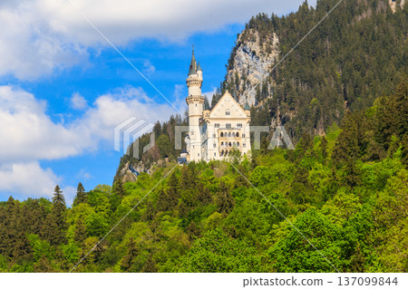 Neuschwanstein Castle in the Bavarian Alps, Germany 137099844