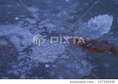 Ice crystals frozen Ice crystals frozen 137100295