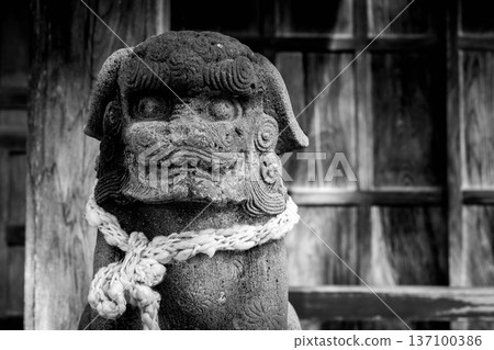 狛犬射擊 137100386